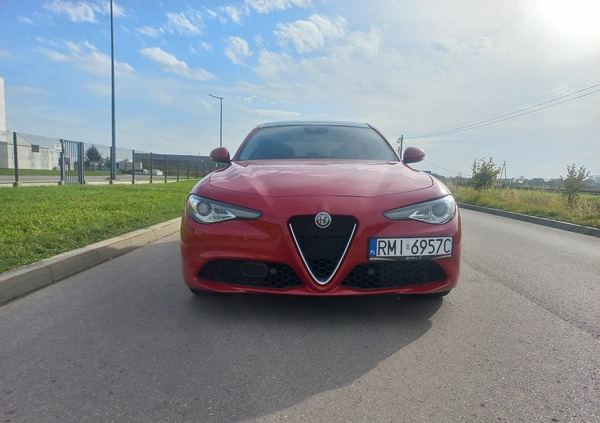 Alfa Romeo Giulia cena 114000 przebieg: 34000, rok produkcji 2020 z Mielec małe 67